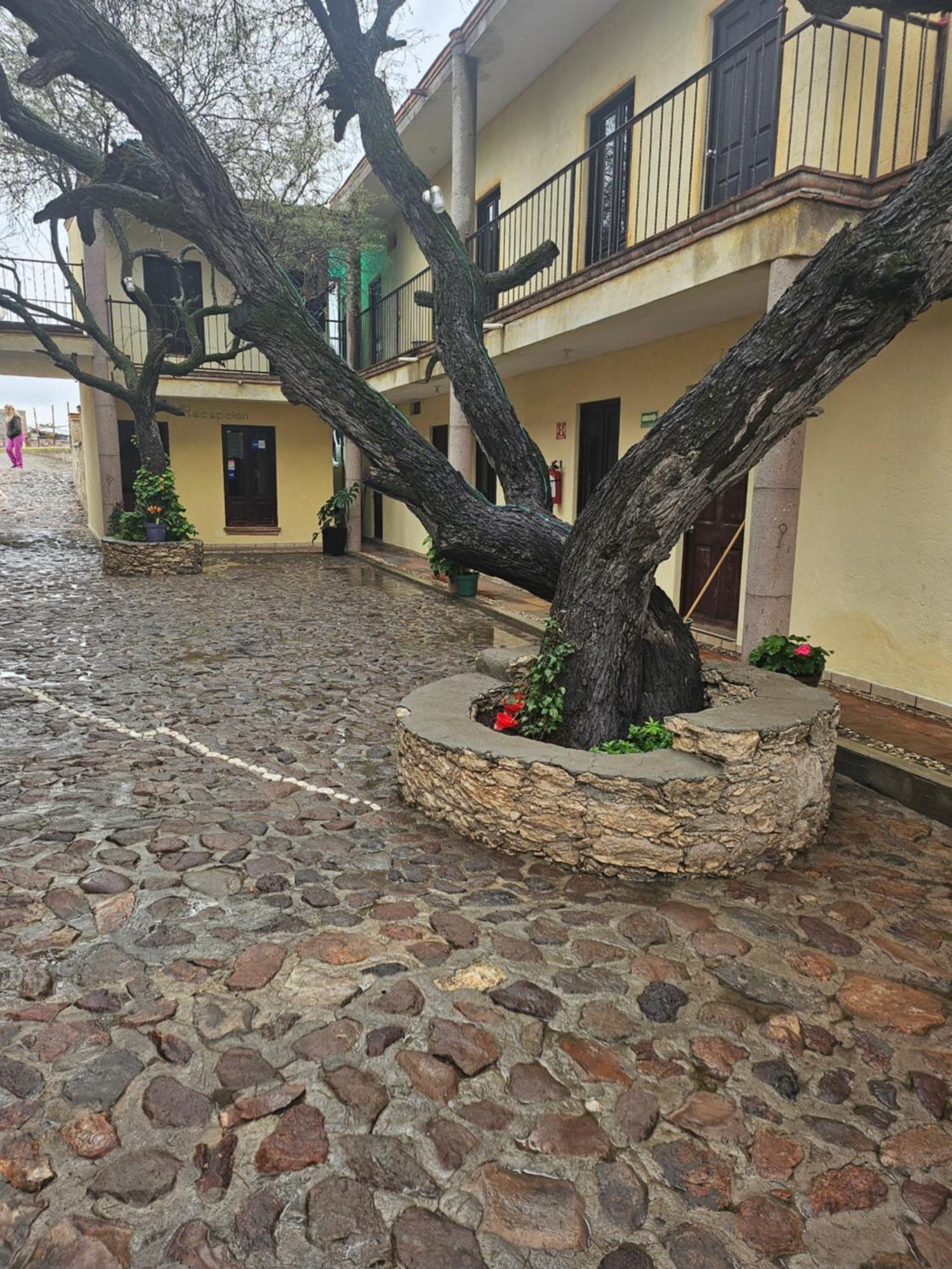 Hotel Villa Aurora Bernal Esterno foto